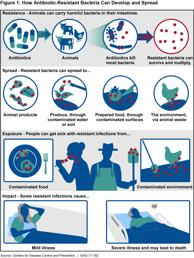 How Antibiotic-Resistant Bacteria Can Develop and Spread