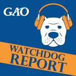 Watchdog Report