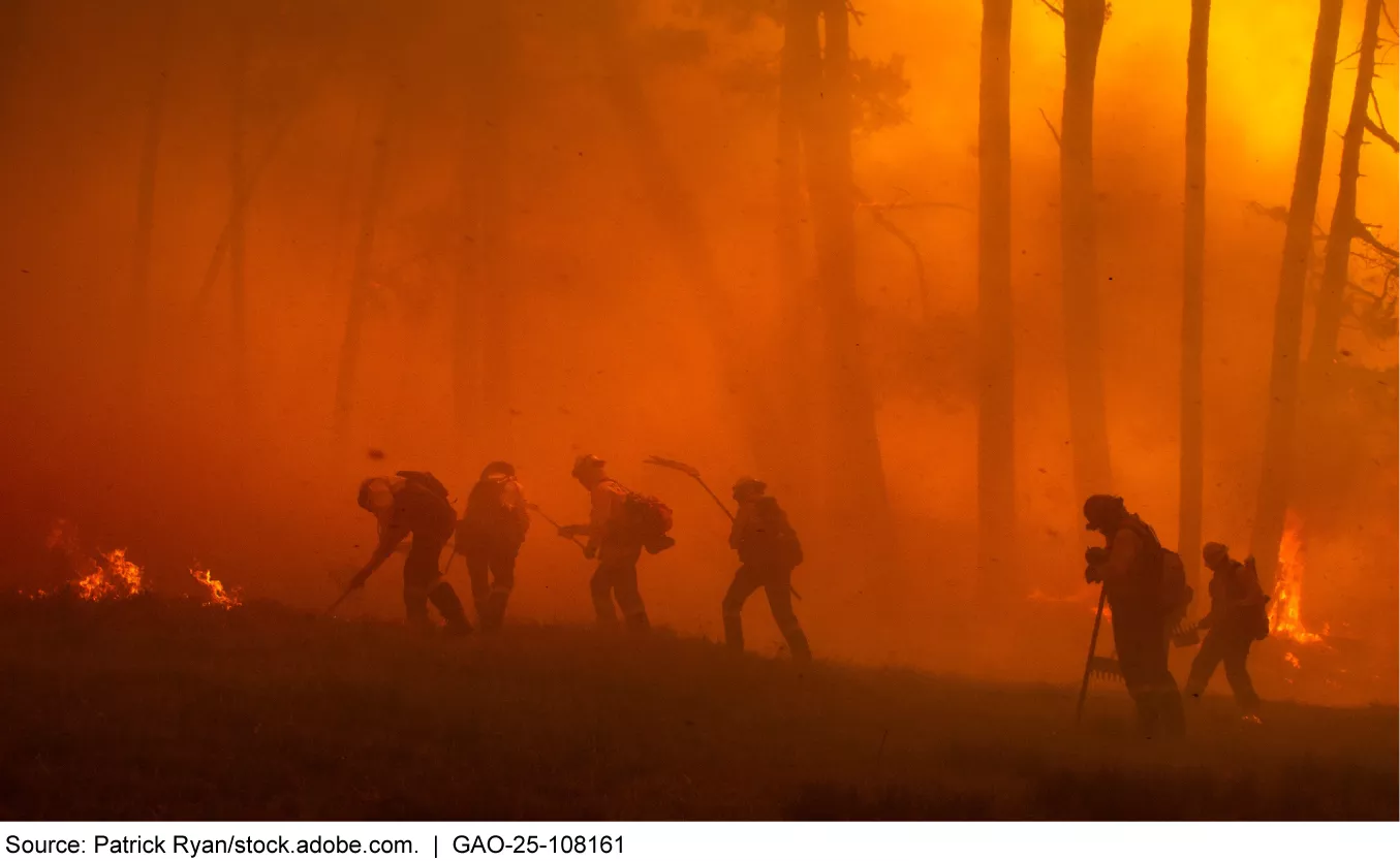 Photo showing firefighters in a wooded area that is glowing orange with flames.