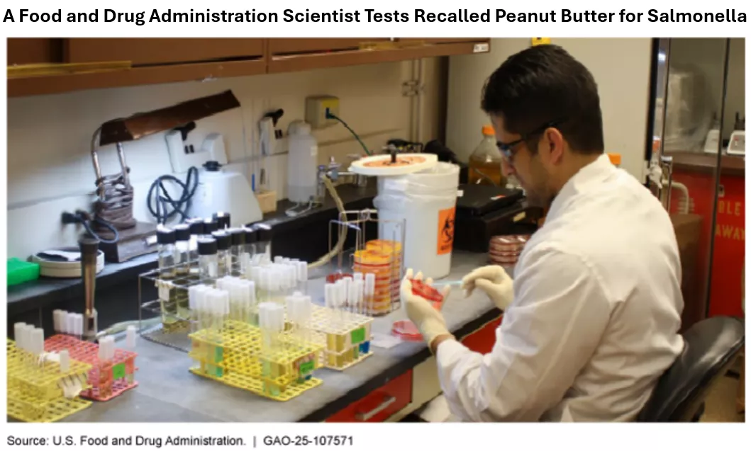 Photo of a scientist at a table working with pipettes to test peanut butter that had been recalled for salmonella. 