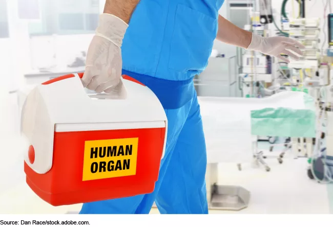 Image of a medical worker in blue scrubs and plastic gloves carrying a red and white cooler labeled "human organ."