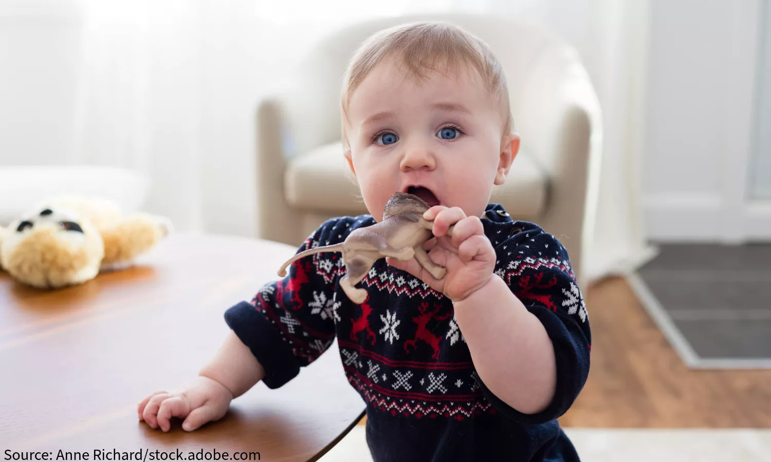 Toddler putting toy in his mouth
