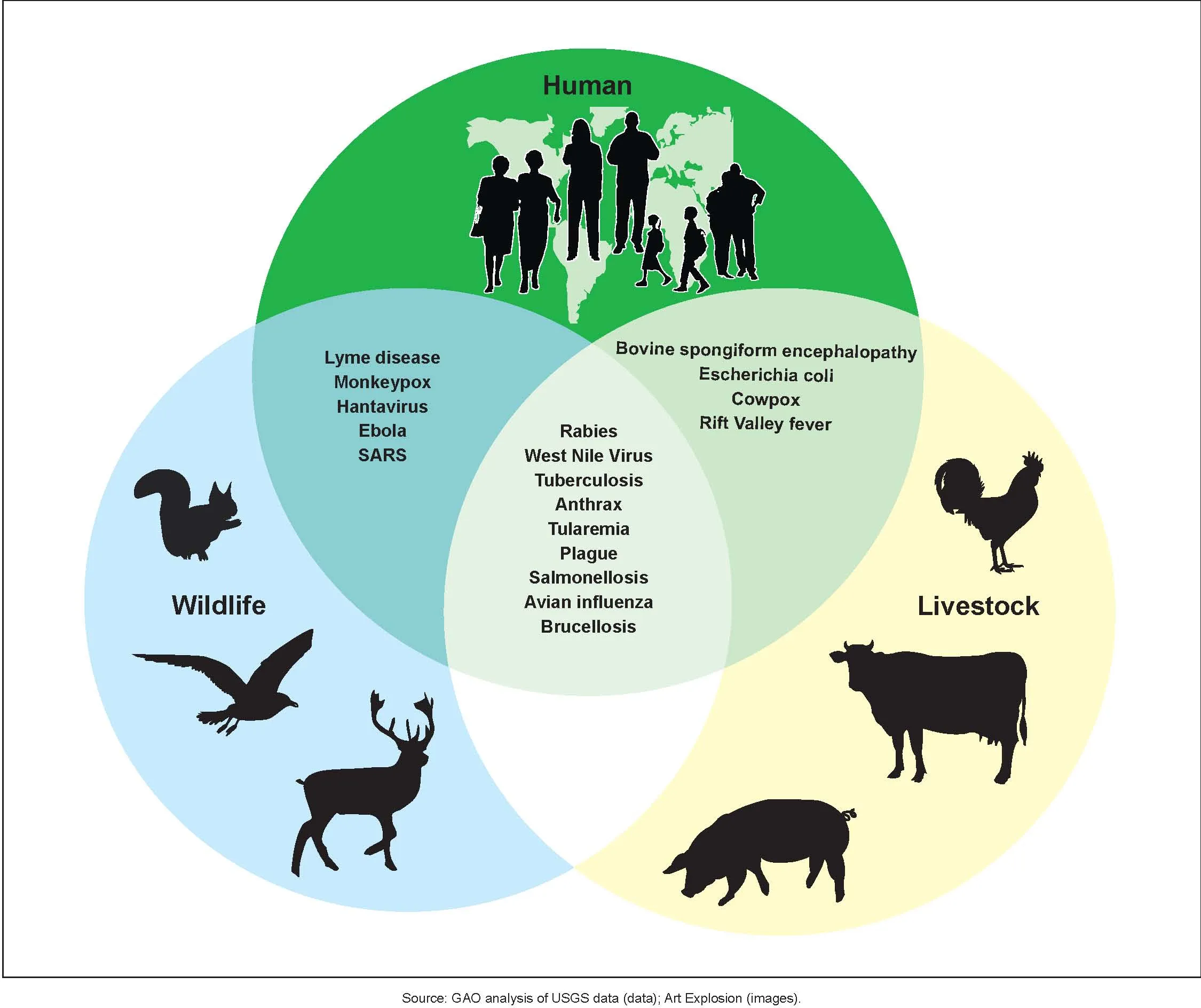  Figure 3: Examples of Zoonotic Diseases and Their Affected Populations