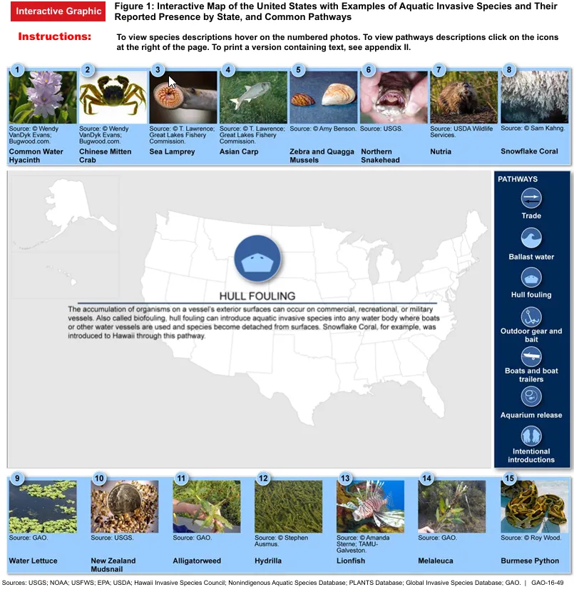 Figure 1: Interactive Map of the United States with Examples of Aquatic Invasive Species and Their Reported Presence by State, and Common Pathways