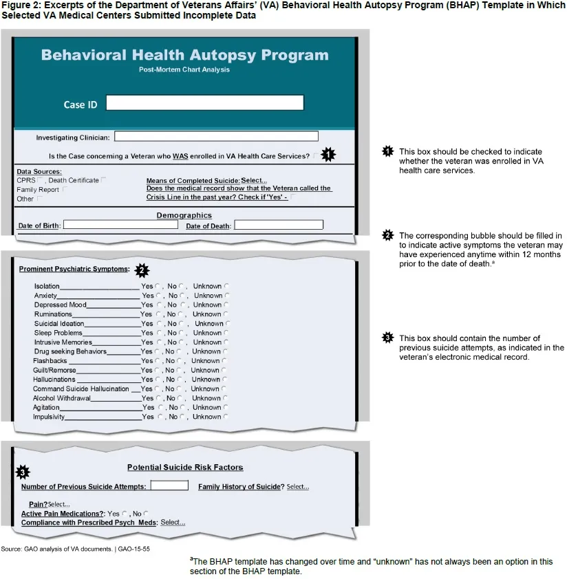 Figure 2: Excerpts of the Department of Veterans Affairs’ (VA) Behavioral Health Autopsy Program (BHAP) Template in Which Selected VA Medical Centers Submitted Incomplete Data 
