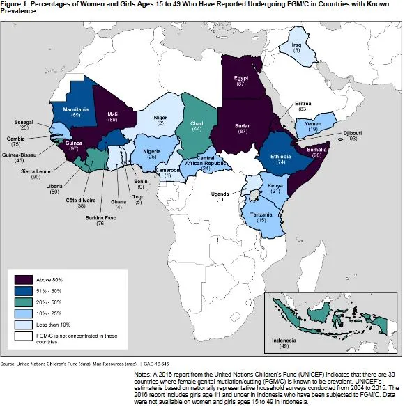 Figure 1: Percentages of Women and Girls Ages 15 to 49 Who Have Reported Undergoing FGM/C in Countries with Known  Prevalence 