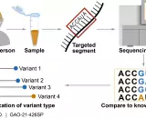 Genomic sequencing to identify infectious pathogen variants