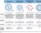 Vaccine platform technologies supported by Operation Warp Speed, as of January 2021