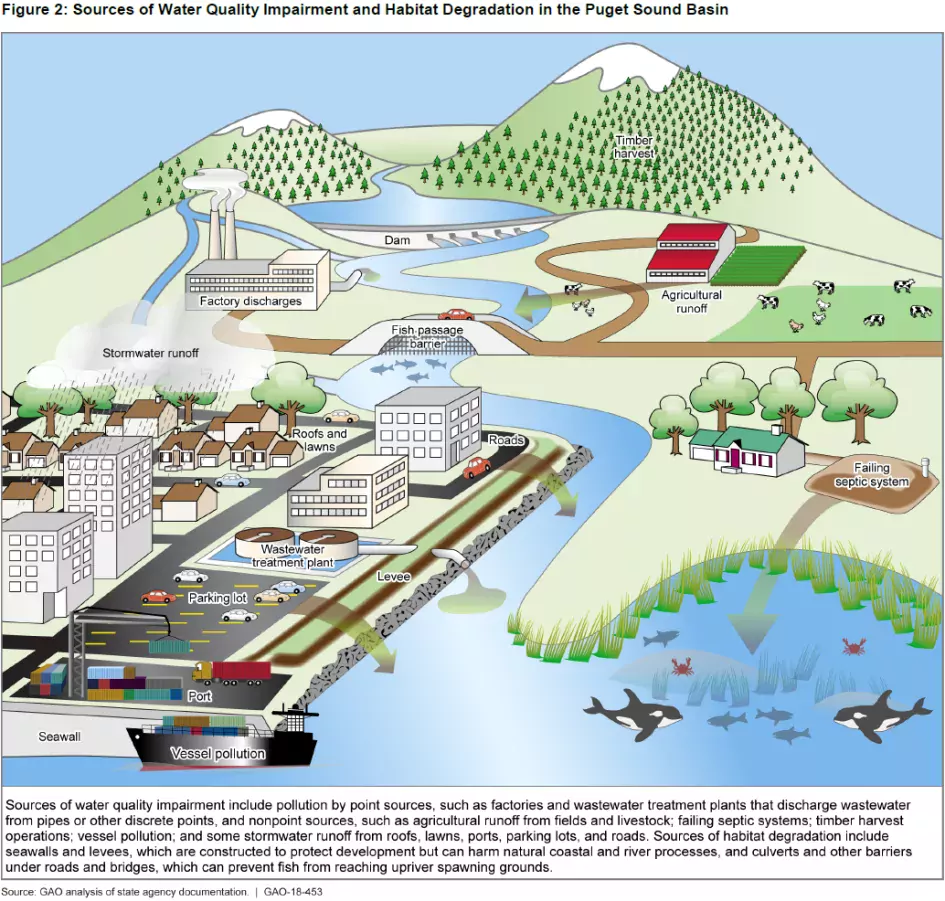 A chart depicting the sources of water quality disruption in the environment