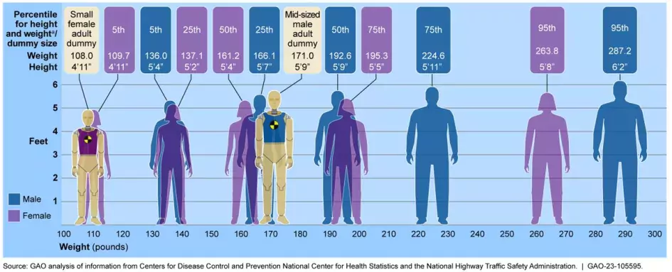 Chart, illustration showing height and weight for dummies used in rash tests and how they compare to American adults by percentile