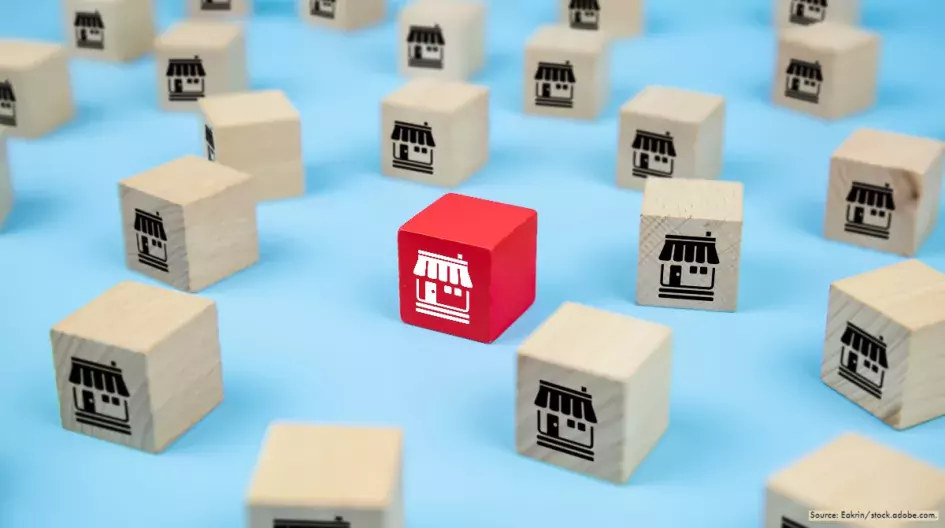 Illustration of franchising. Shows identical children's building blocks, one of which is red.