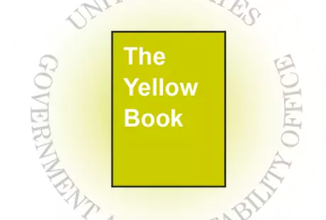 Image of the U.S. GAO Yellow Book