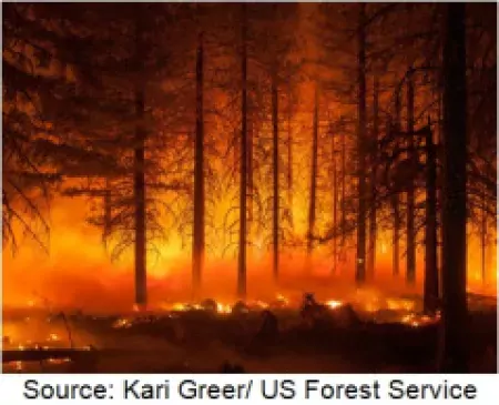 Wildland fire. Photo taken by Kari Greer of the U.S. Forest Service