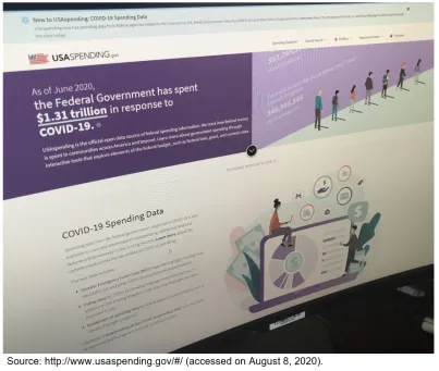 Screenshot of the USAspending.gov website taken Aug. 10, 2020