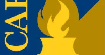 Center for Audit Excellence logo