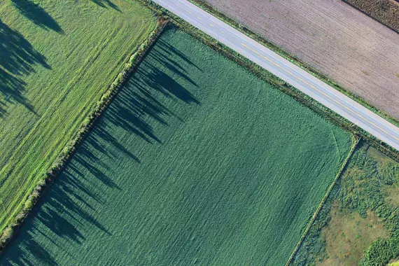 Agriculture 5 Aerial