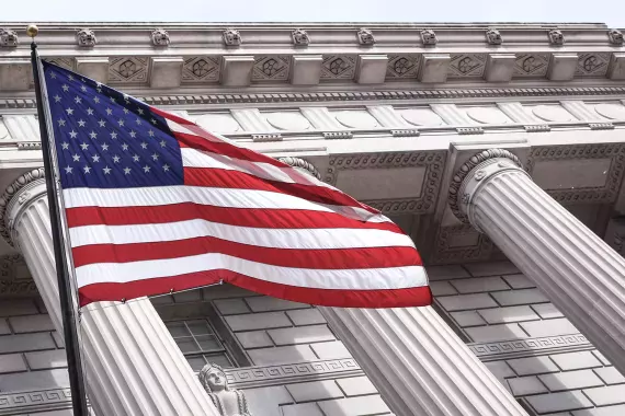 Government 1 Flag