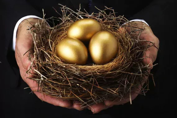 Retirement 1 Nest