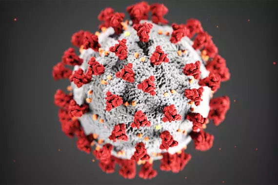 Coronavirus