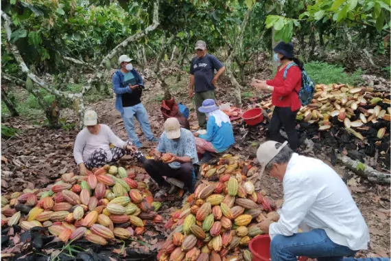 Photo showing participants in a Feed the Future technical assistance program in Peru.