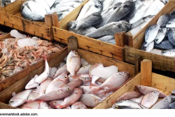 Photo showing crates of different fish in a fish market.