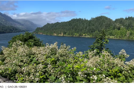 A scenic view of the Columbia River in Oregon. 