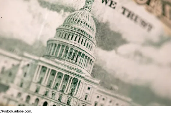 A close-up of the Capitol building on the back of a fifty-dollar bill. 