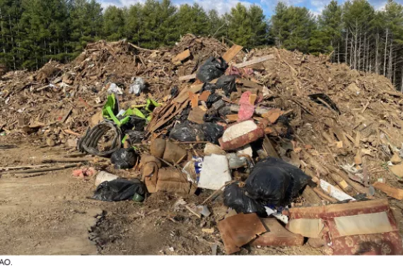 A pile of debris and mud surrounded by several trees.