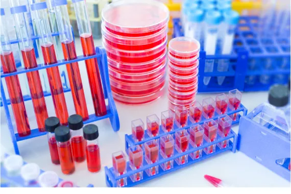 Racks of test tubes, sample vials, and stacks of petri dishes with bright red liquid or gel in them on a white countertop.