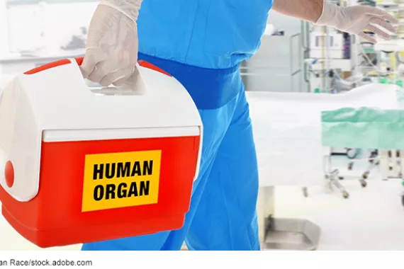 A person wearing scrubs rushing a plastic box labeled human organ into an operating room setting. 