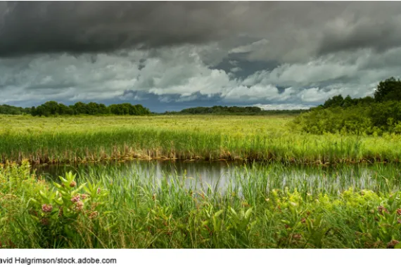 A prairie pond in Minnesota with flat grasslands.