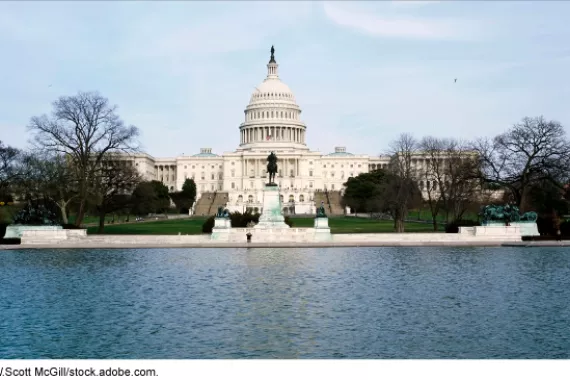 The United States Capitol Building in Washington, D.C.