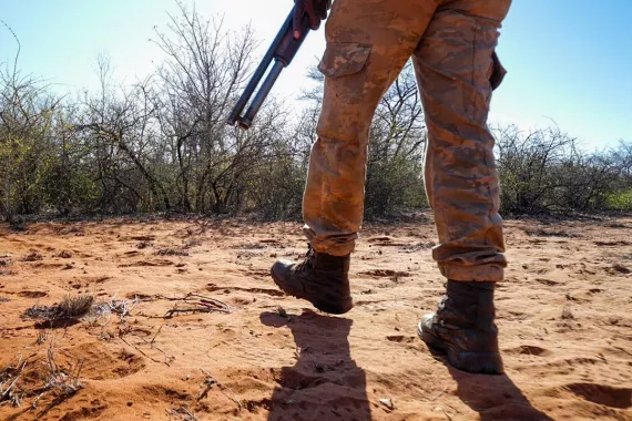 Wildlife Trafficking and Human Rights