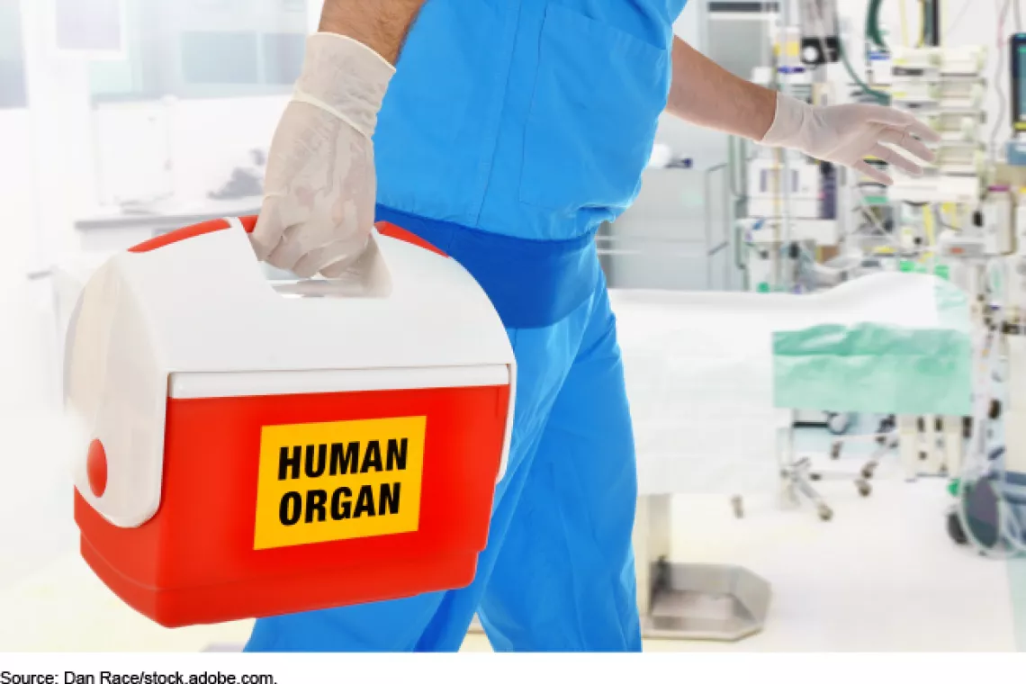 Image of a medical worker in blue scrubs and plastic gloves carrying a red and white cooler labeled "human organ."