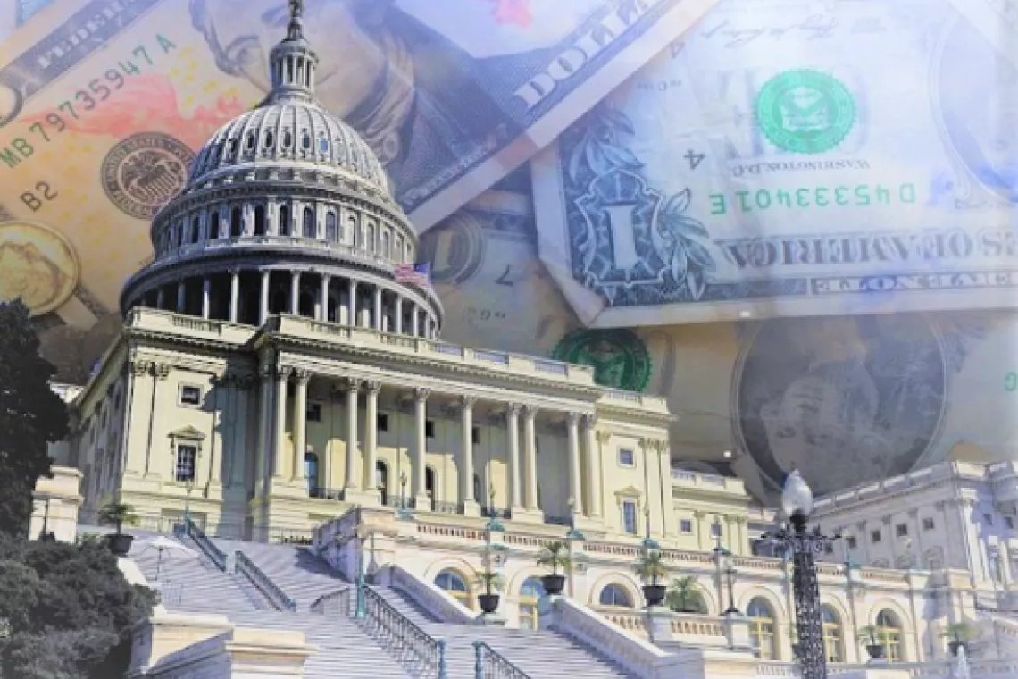 An illustration of the capitol building with money in the background where clouds should be.